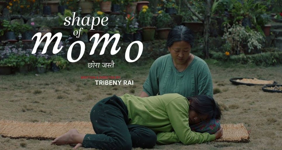 Shape of Momo (Nepali)